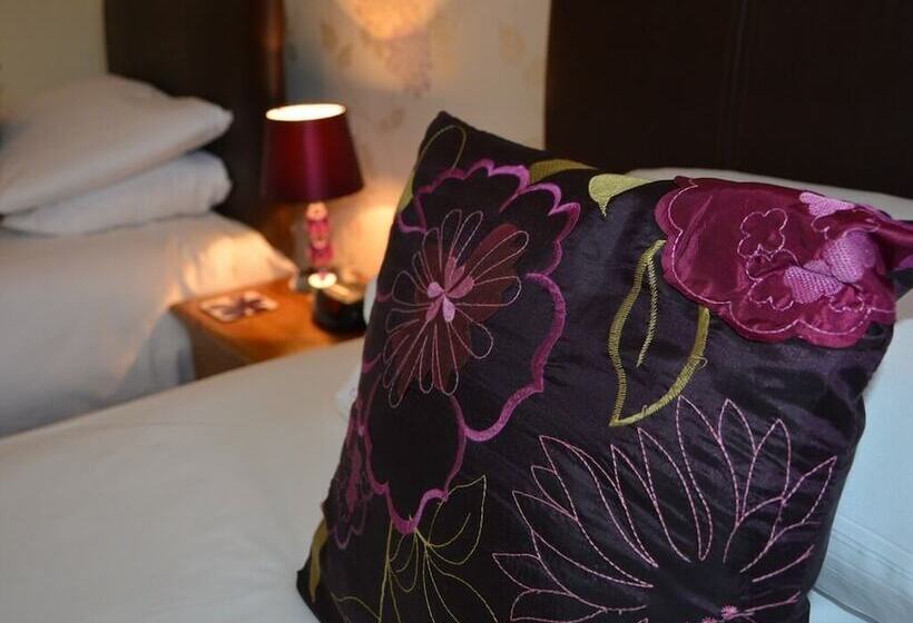 膳宿费 Ashlea Guest House