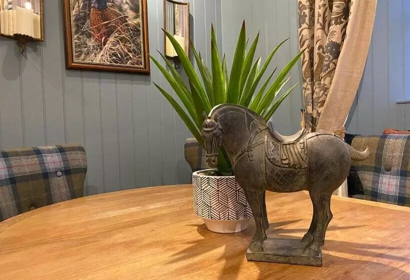 Пансион Ginger Peanut