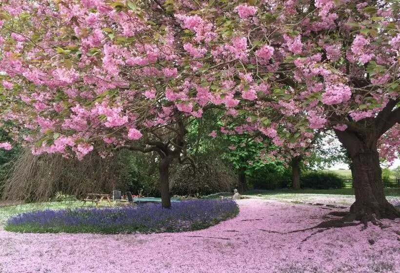 ペンション Hedgefield House