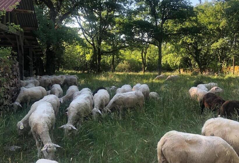 ベッドアンドブレックファースト Mas D’aubrac