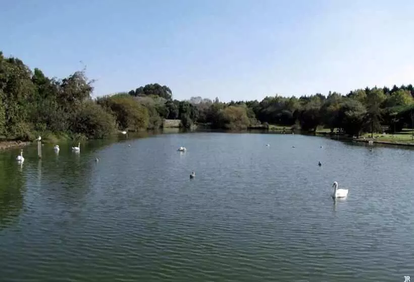 Aamiaismajoitus (B&B) Ocean Porto   Beach House