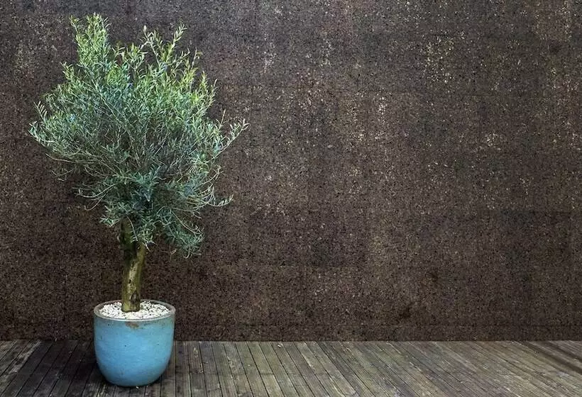 Aamiaismajoitus (B&B) Ocean Porto   Beach House