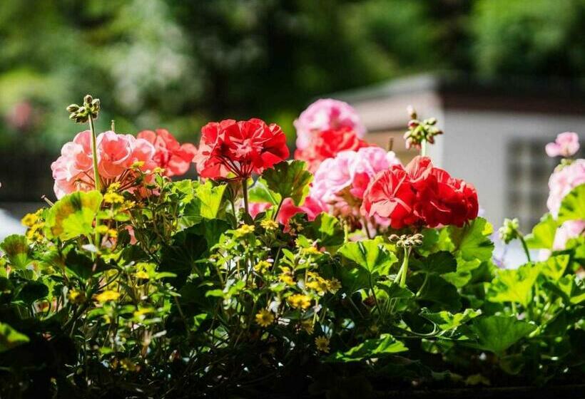 Hotelli Zimmer Nr 2 Im Haus Sabine
