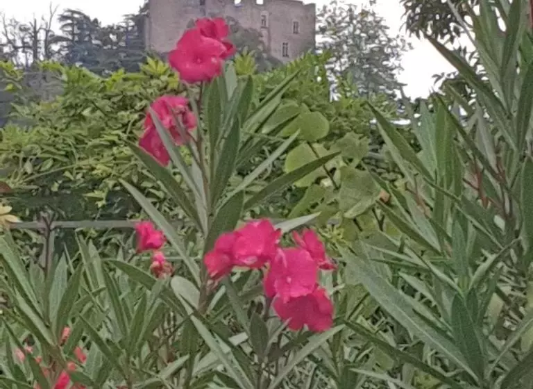 Majatalo Les Chambres De Mélis