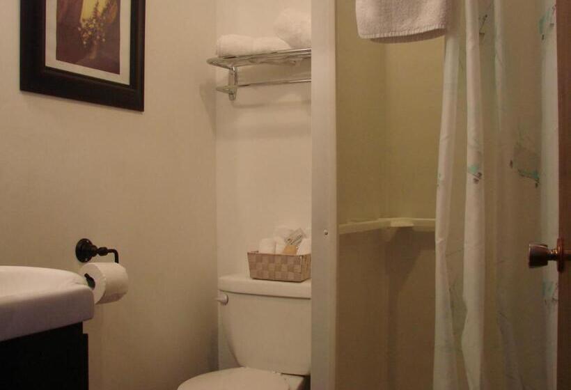 بنسيون Prince County Guest House