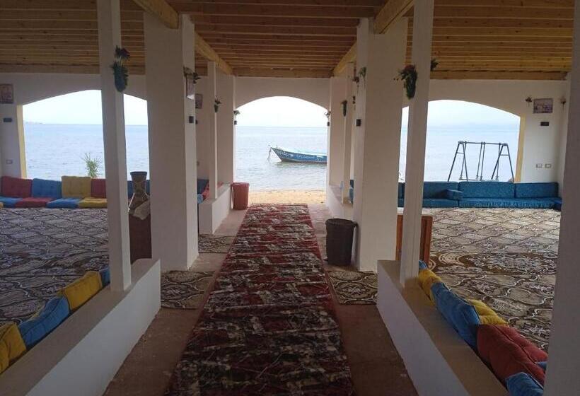 استراحتگاه Abo Hamada Azure Camp