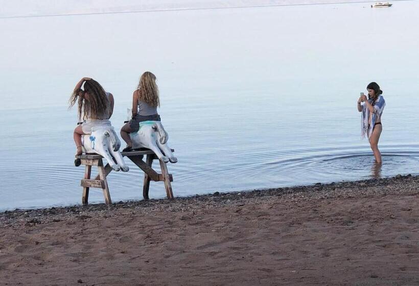 استراحتگاه Abo Hamada Azure Camp