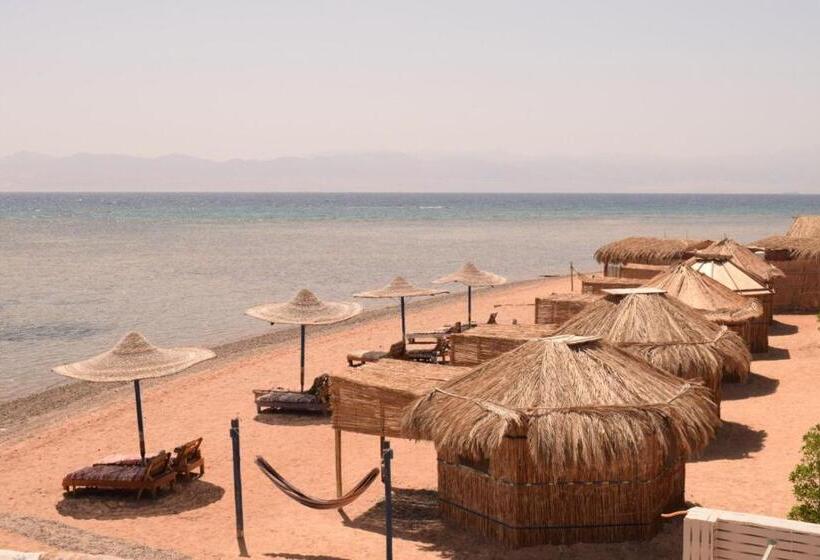 استراحتگاه Abo Hamada Azure Camp