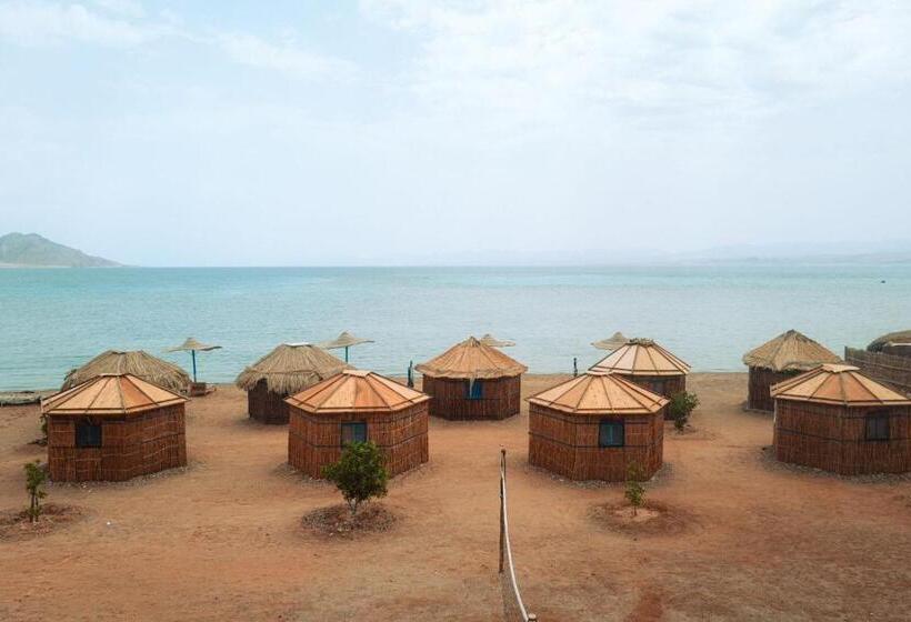 استراحتگاه Abo Hamada Azure Camp