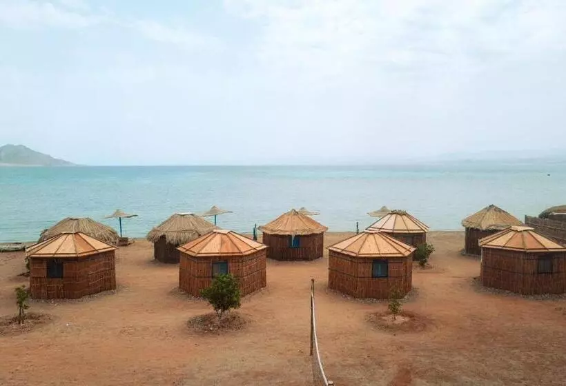 استراحتگاه Abo Hamada Azure Camp