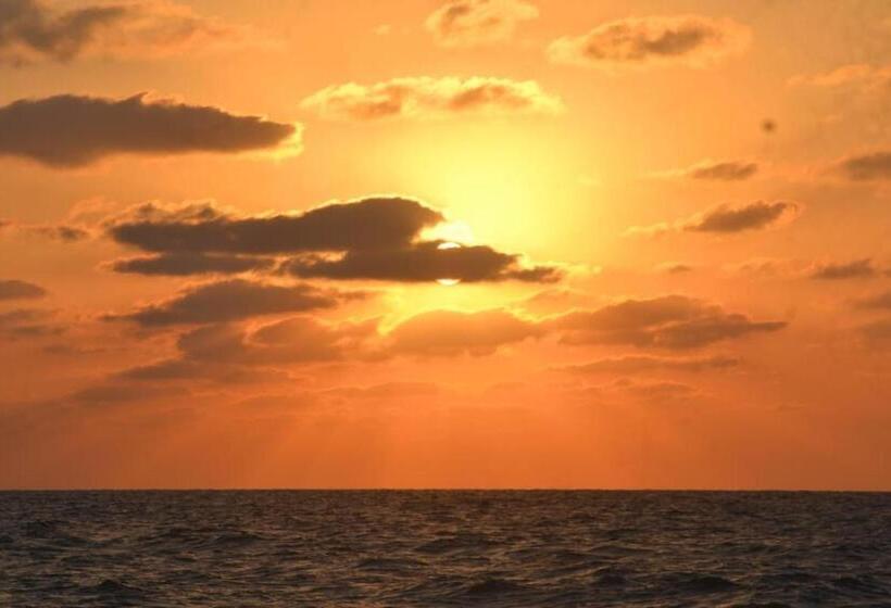 استراحتگاه Abo Hamada Azure Camp