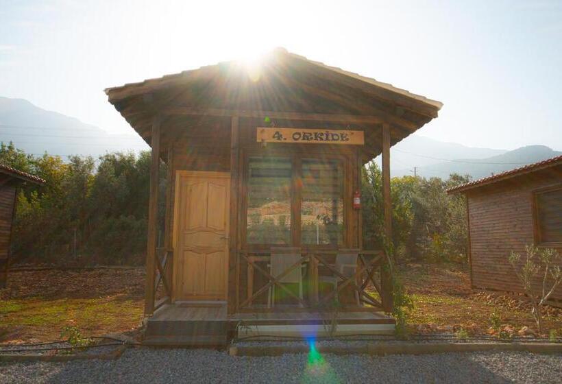 צימר Alpstar Camping & Restaurant