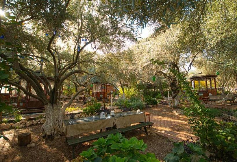 צימר Alpstar Camping & Restaurant