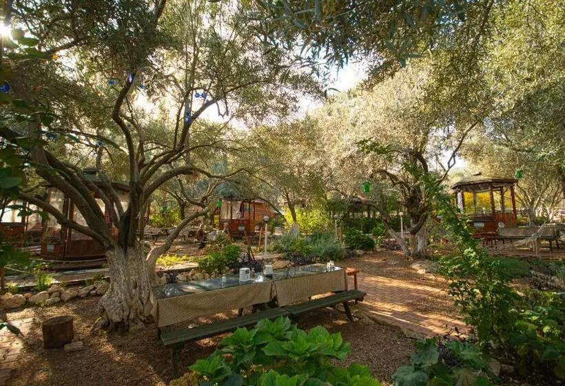 Aamiaismajoitus (B&B) Alpstar Camping & Restaurant