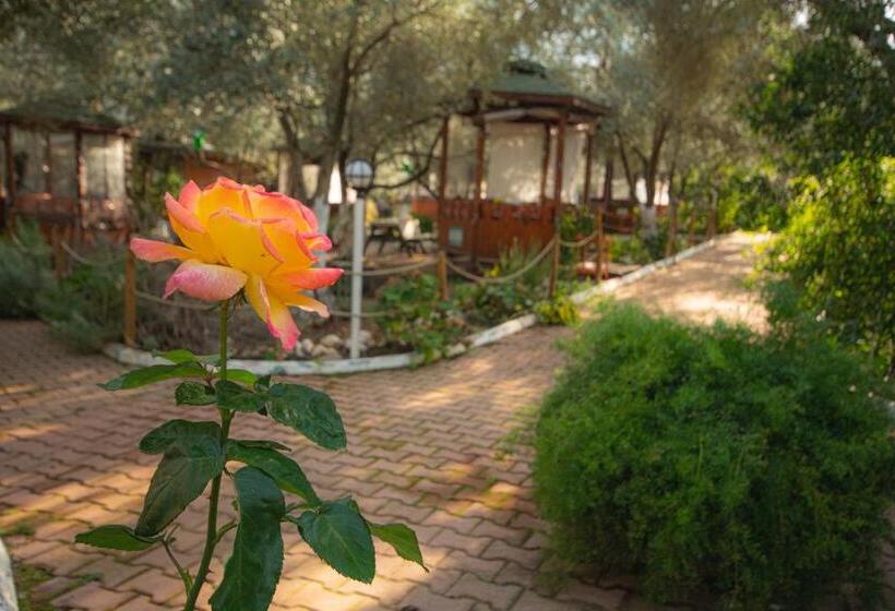 צימר Alpstar Camping & Restaurant