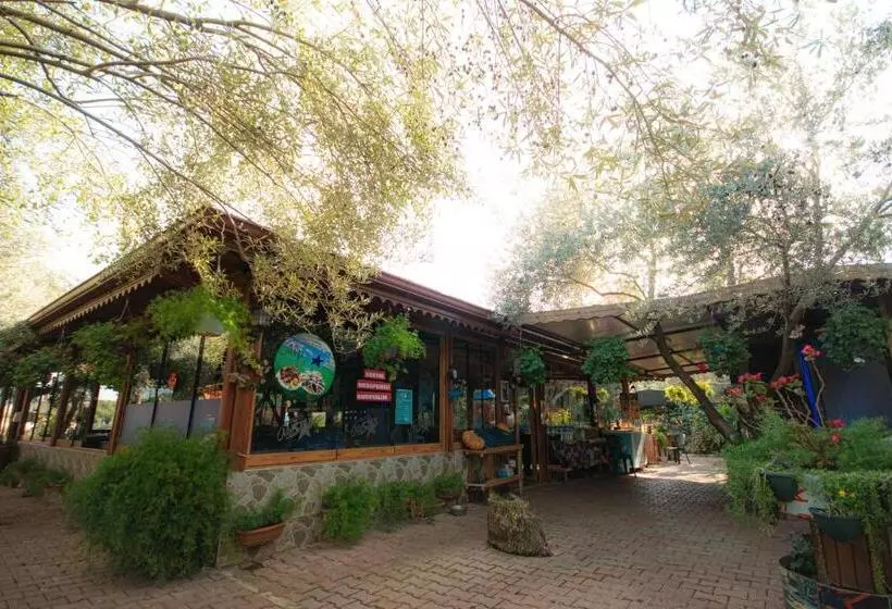 Aamiaismajoitus (B&B) Alpstar Camping & Restaurant