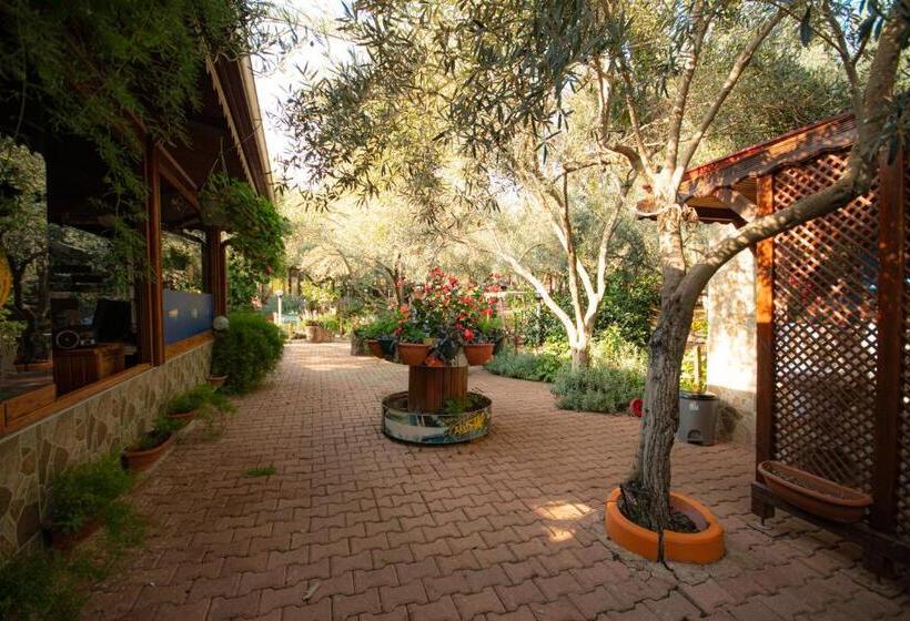 צימר Alpstar Camping & Restaurant