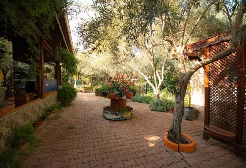 Aamiaismajoitus (B&B) Alpstar Camping & Restaurant