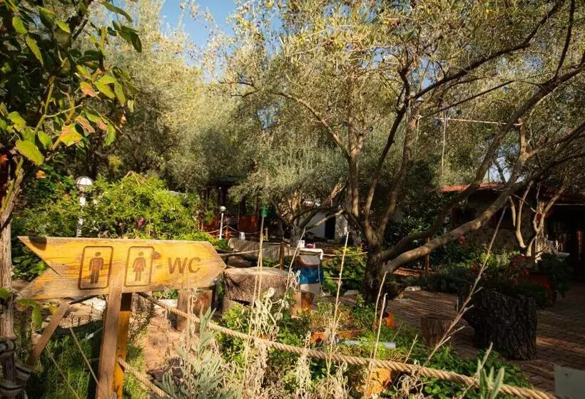 Aamiaismajoitus (B&B) Alpstar Camping & Restaurant