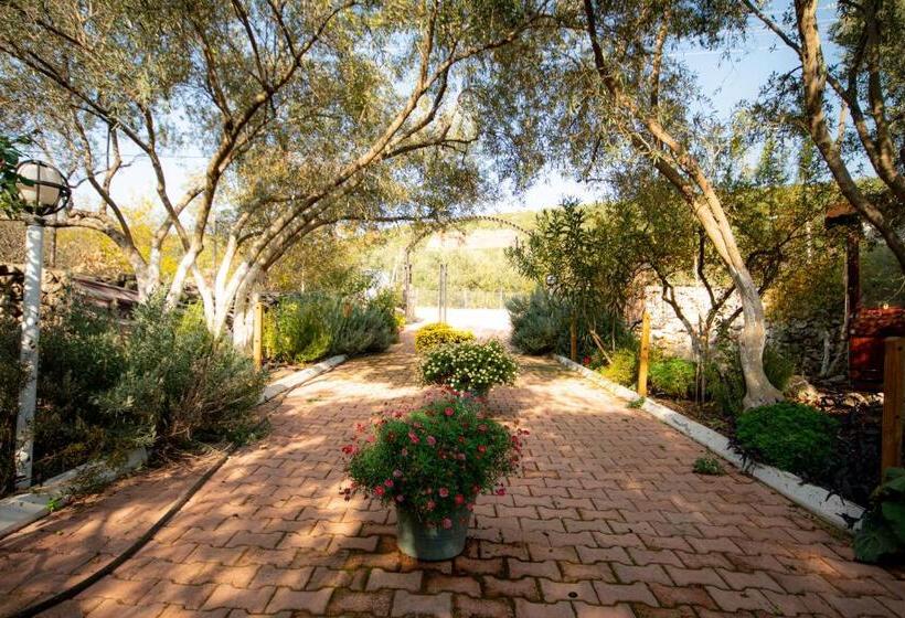 צימר Alpstar Camping & Restaurant