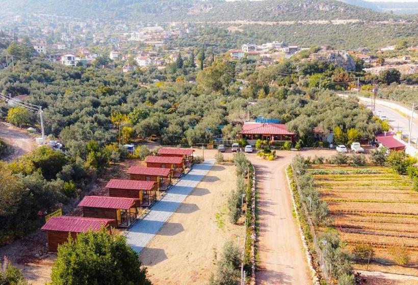צימר Alpstar Camping & Restaurant