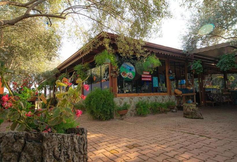 צימר Alpstar Camping & Restaurant