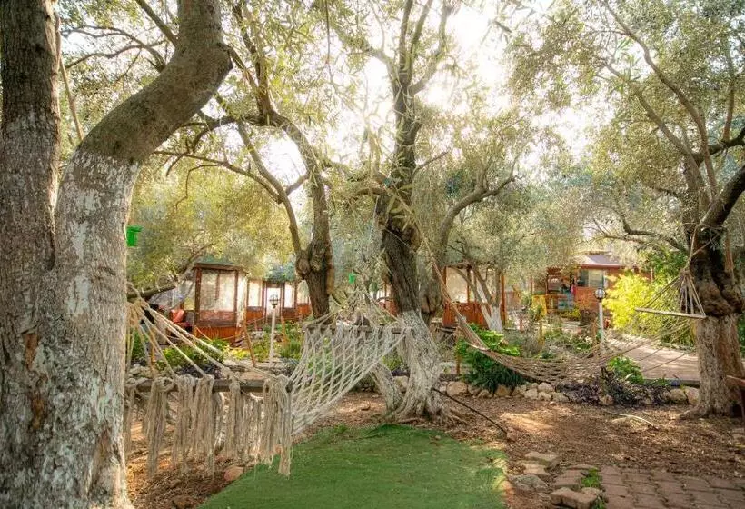 Aamiaismajoitus (B&B) Alpstar Camping & Restaurant