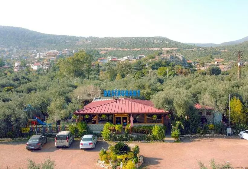 Aamiaismajoitus (B&B) Alpstar Camping & Restaurant