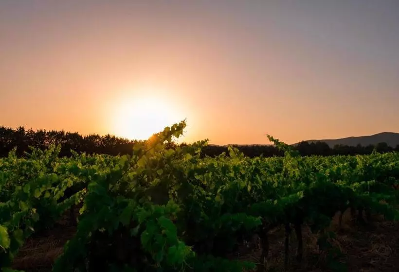 Aamiaismajoitus (B&B) Château Saint Pierre De Mejans