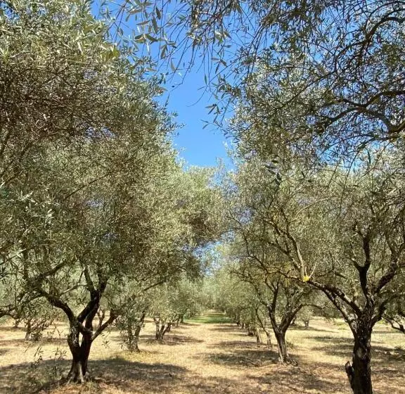 Aamiaismajoitus (B&B) Château Saint Pierre De Mejans