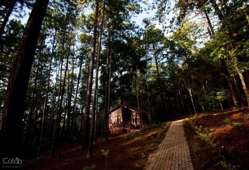 هتل Cotan Ecolodge