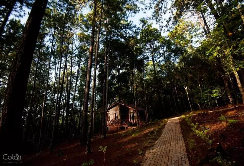 هتل Cotan Ecolodge