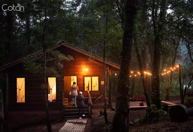 هتل Cotan Ecolodge