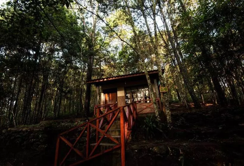 هتل Cotan Ecolodge