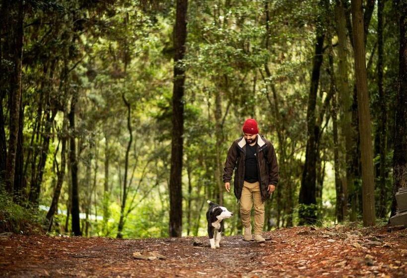 هتل Cotan Ecolodge