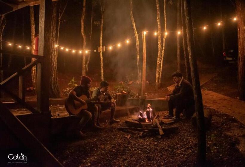 هتل Cotan Ecolodge