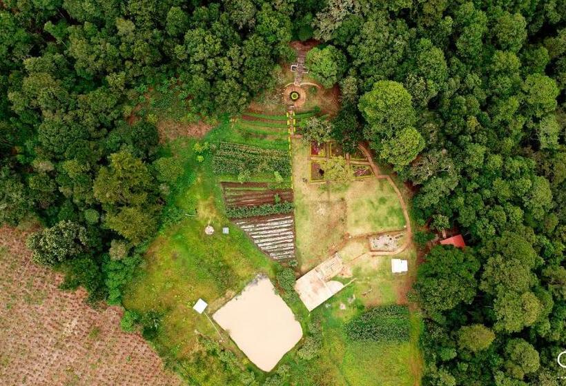 هتل Cotan Ecolodge