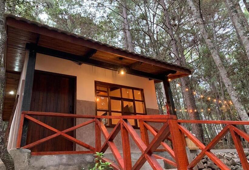 هتل Cotan Ecolodge