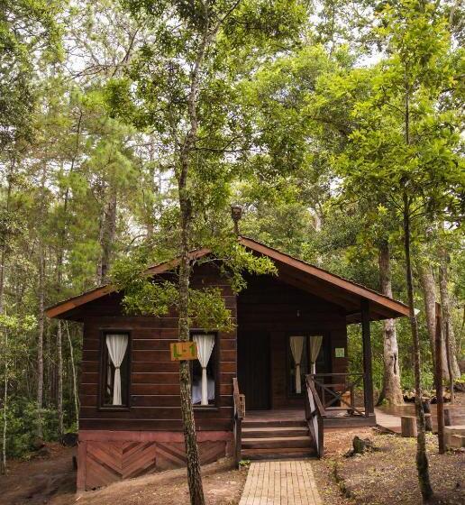 هتل Cotan Ecolodge