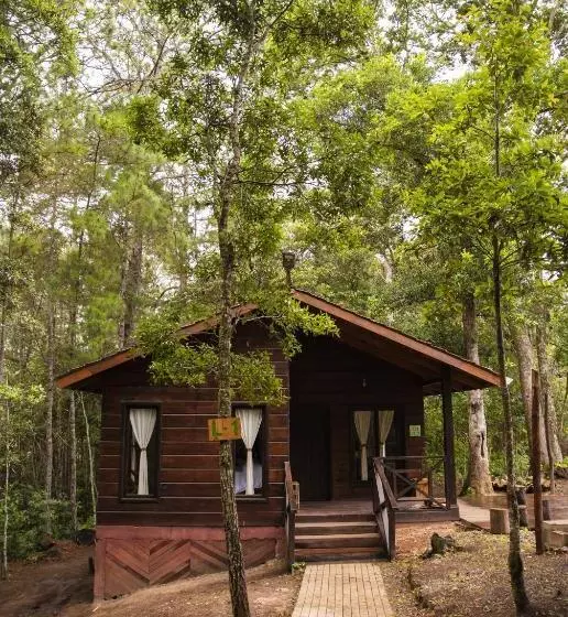 هتل Cotan Ecolodge