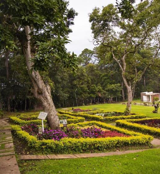 هتل Cotan Ecolodge