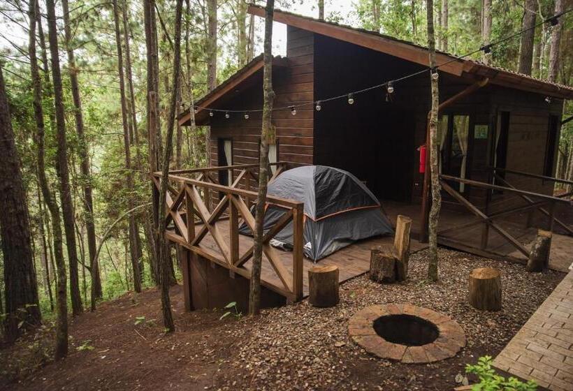 هتل Cotan Ecolodge