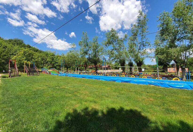 膳宿费 Casa Muscelelor