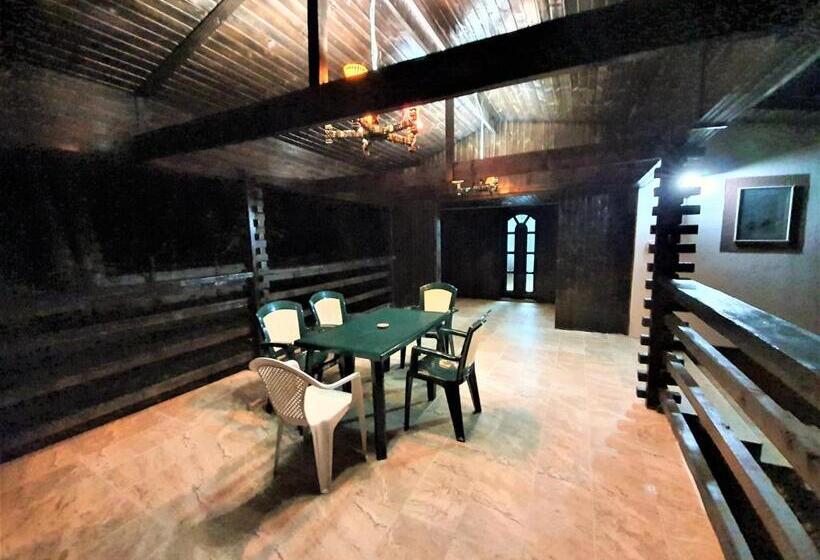 膳宿费 Casa Muscelelor