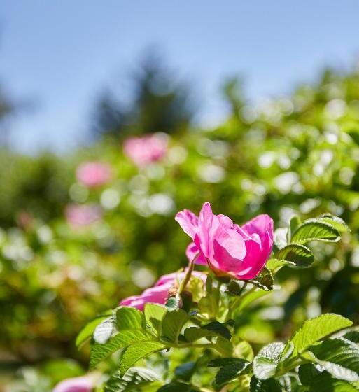 Pensiune La Rapinette, Calme Entre Nantes Et L Océan