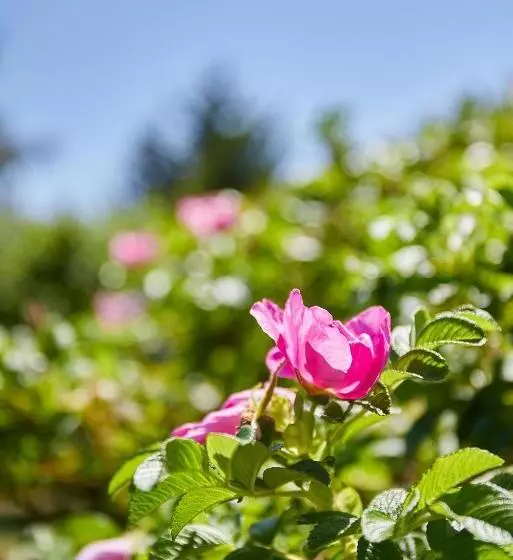 Majatalo La Rapinette, Calme Entre Nantes Et L Océan