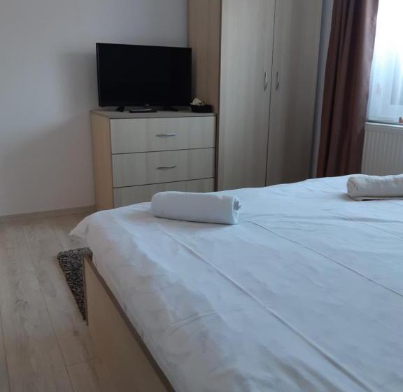 Pensjonat Vila Georgeta