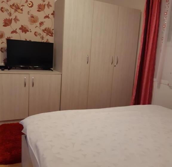 Pensjonat Vila Georgeta