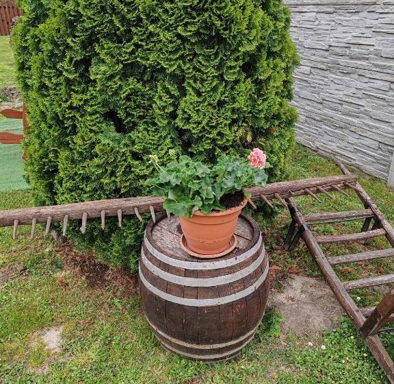 膳宿费 Zeg Zug Vendégház