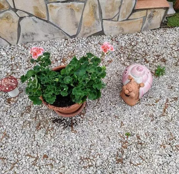 ペンション Zeg Zug Vendégház